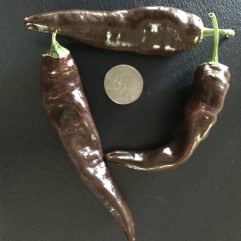 Mareko Fana