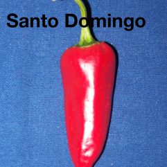 Santo Domingo