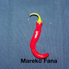 Mareko Fana Red