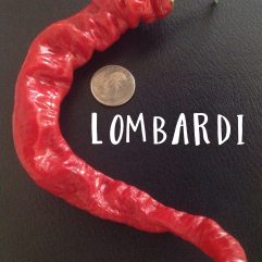Lombardi
