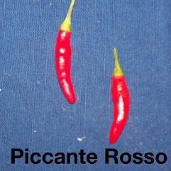 Piccante Rosso Di Caienna