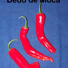 Dedo De Moca
