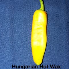 Hungarian Yellow Wax