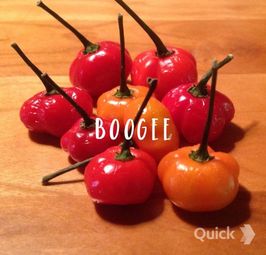 Boogee
