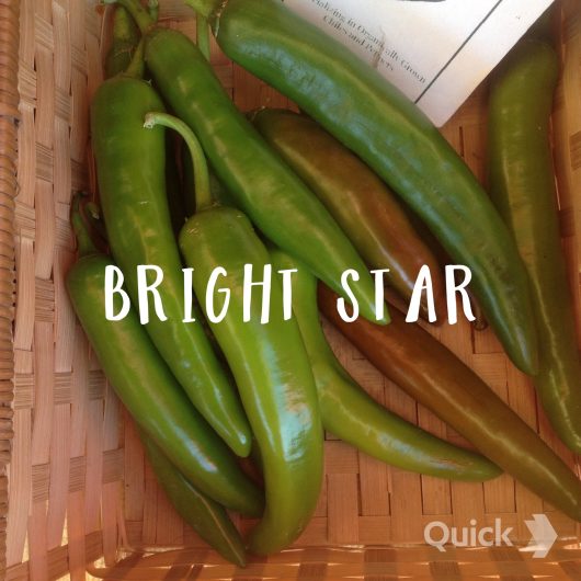 Bright Star