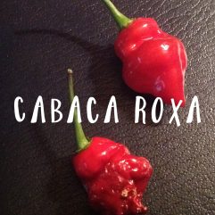Cabaca Roxa
