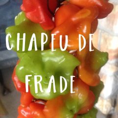 Chapeu De Frade