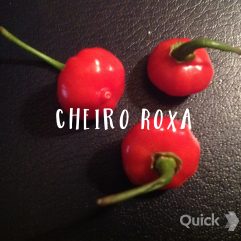 Cheiro Roxa