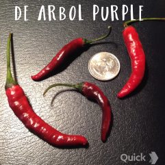 De Arbol, Purple