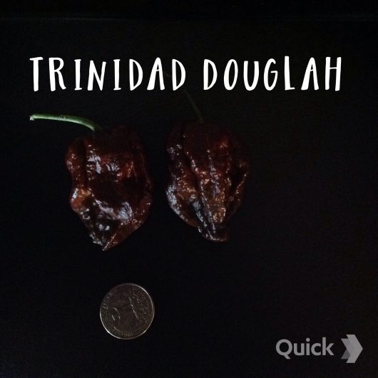 Trinidad Douglah