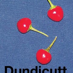 Dundicutt