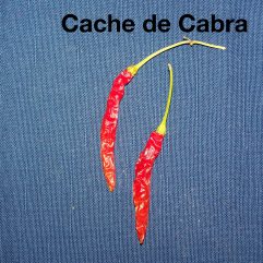 Cacho De Cabra