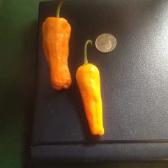 Ecuador
