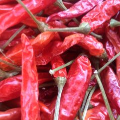 Szechuan