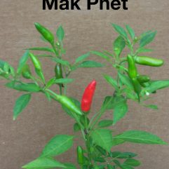 Mak Phet