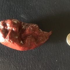Fatali, Chocolate