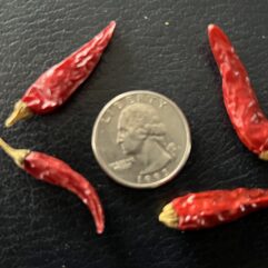 Cobanero
