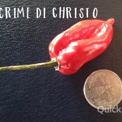 L'Acrima De Christo