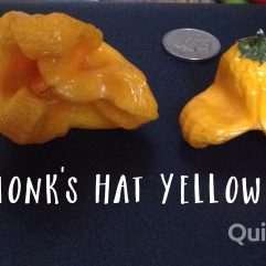 Monk's Hat, Yellow