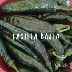 Pasilla Bajio