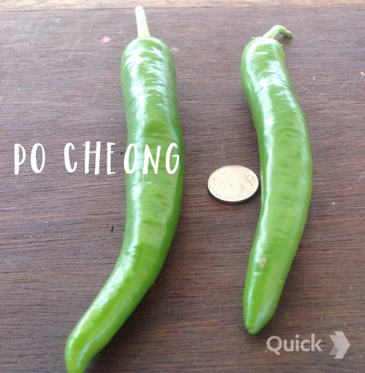 Po Cheong