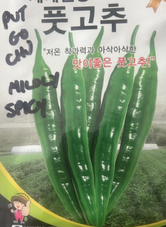 NEW: Put Gochu